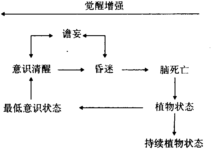 一、意識內(nèi)容的障礙